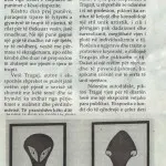 Gazeta Kulture shkruan per piktorin Ardian Tragaj